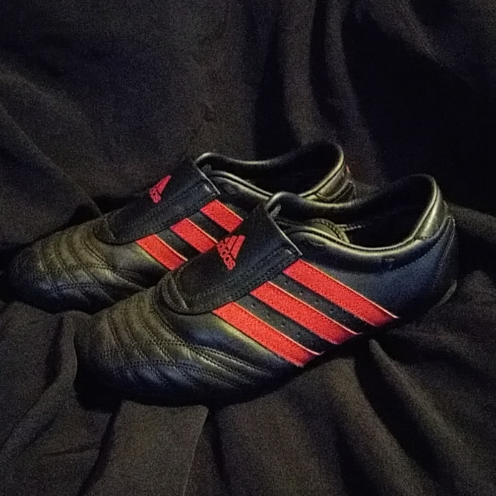 Adidas Taekwondo Shoes